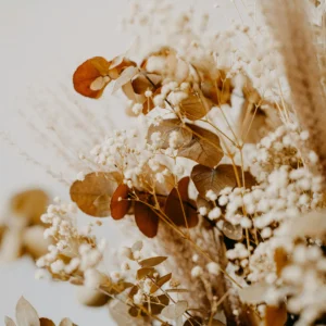 Fleurs séchées de Festiloc en Gironde (location de matériel/vaisselle/mobilier pour mariage, baptêmes, anniversaires...)