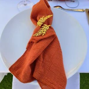 Serviettes terra cotta